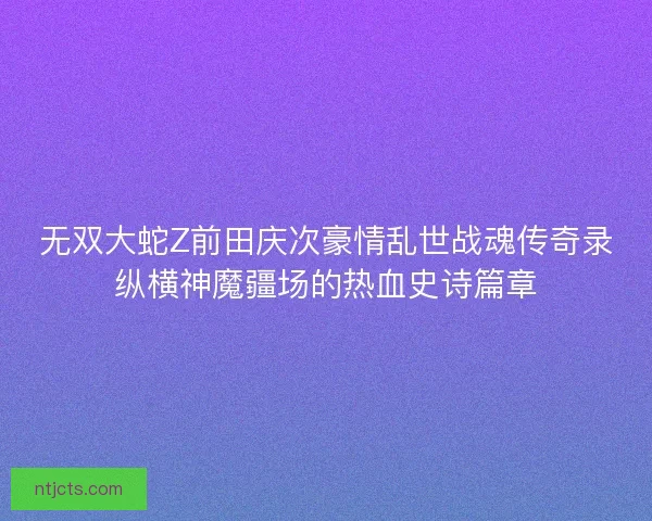 无双大蛇Z前田庆次豪情乱世战魂传奇录纵横神魔疆场的热血史诗篇章